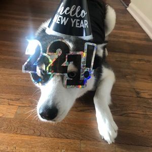 Meet your Posher, Roberto